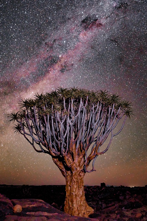 Voyage en Namibie - nuit étoiles