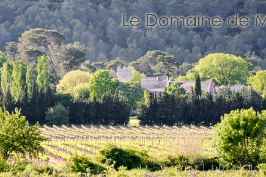 Domaine de Monteils